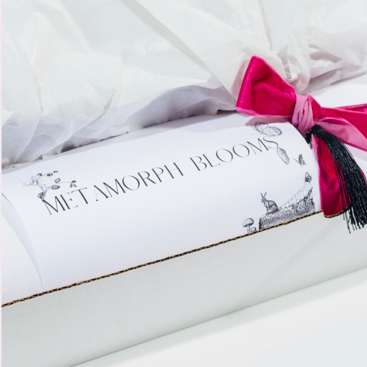 METAMORPH MONARCH BLOOM BOX